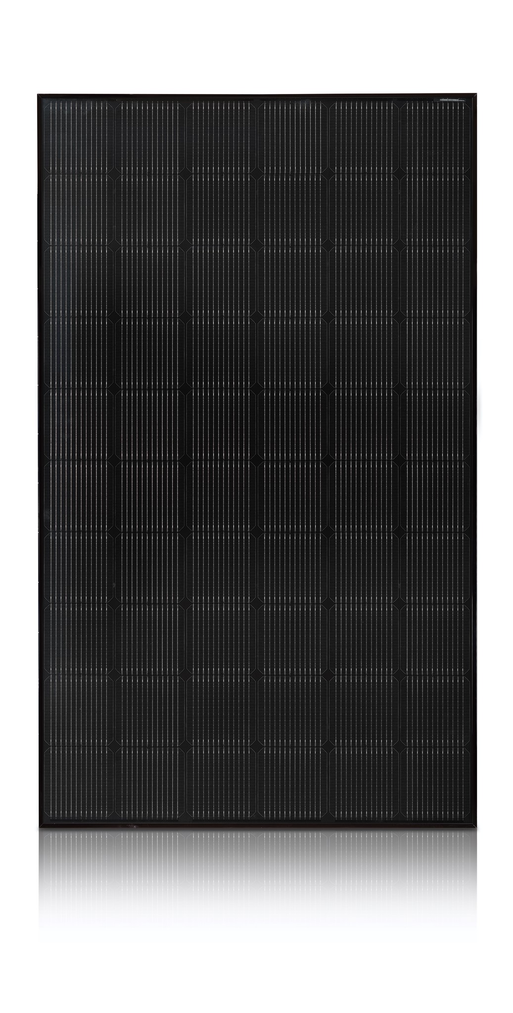 Bild von Solarmodul NeON 2 Black, LG355N1K-N5 (355 Wp)