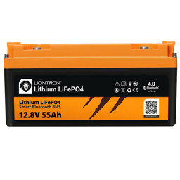 Bild von Liontron Batterie LX Smart 12-55