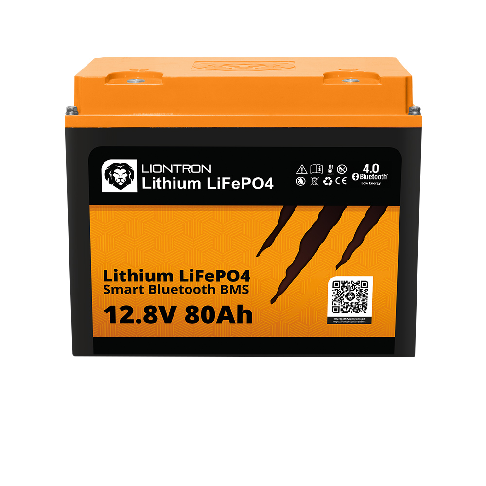 Bild von Liontron Batterie LX Smart 12-80