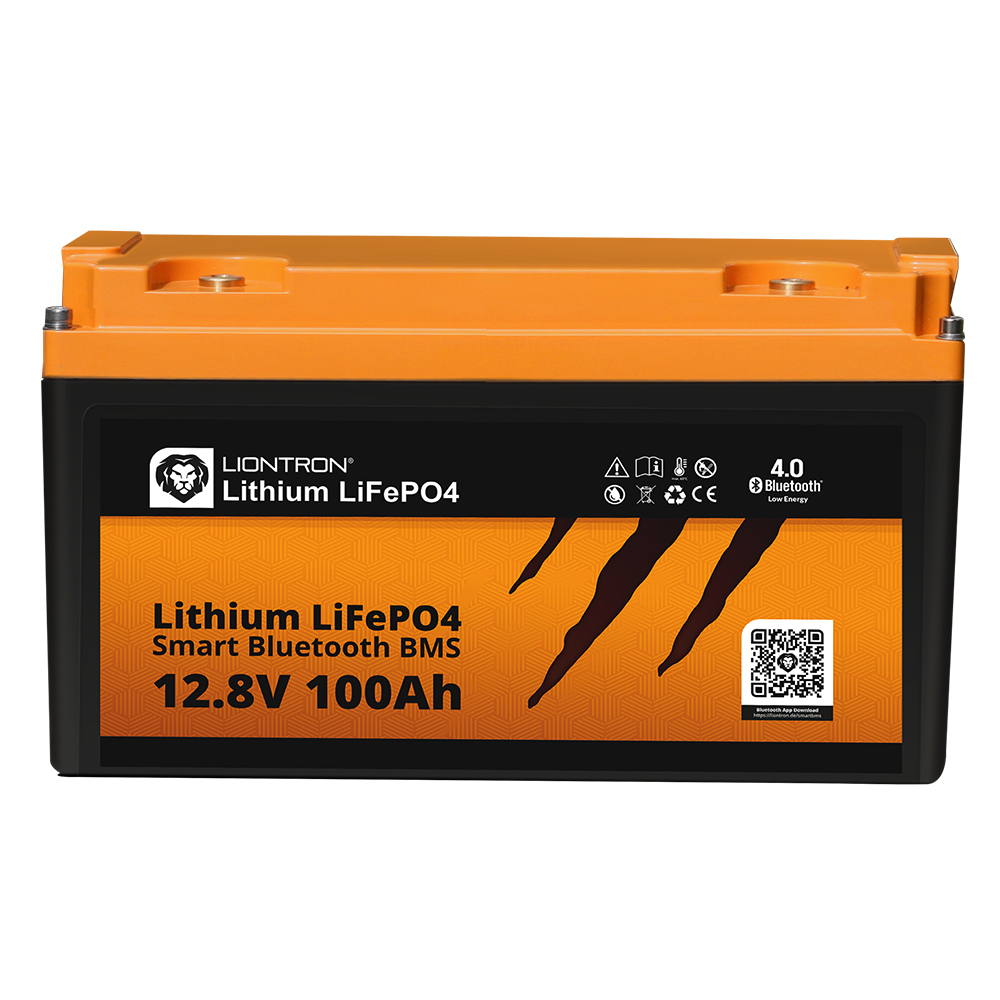 LiFePO4 Akku 24V 100Ah mit BMS (Batterie Management System) / neues Gehäuse