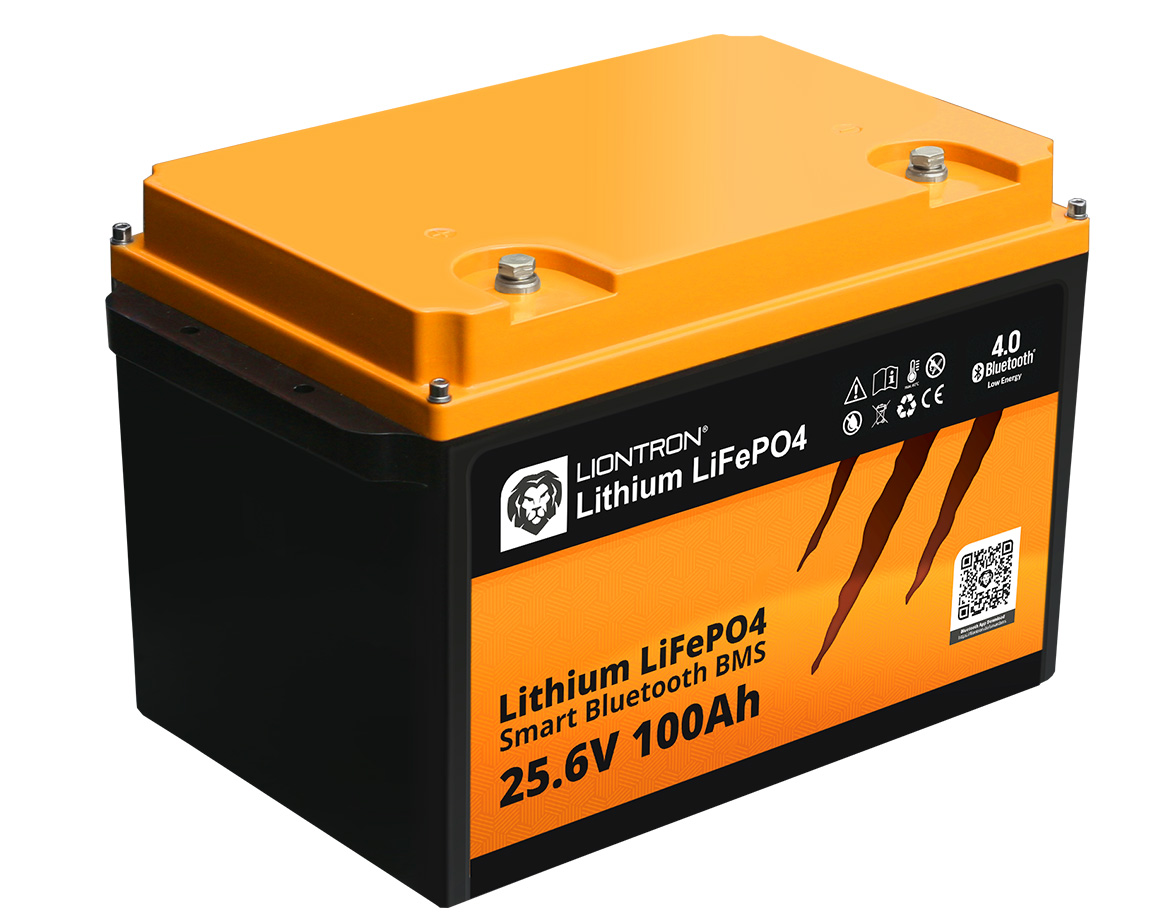Liontron Batterie LX Smart 24-100