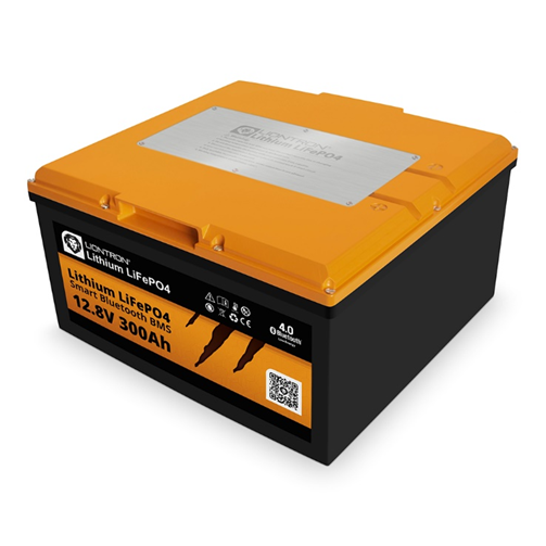 Liontron Batterie LX Smart DUC 12-300