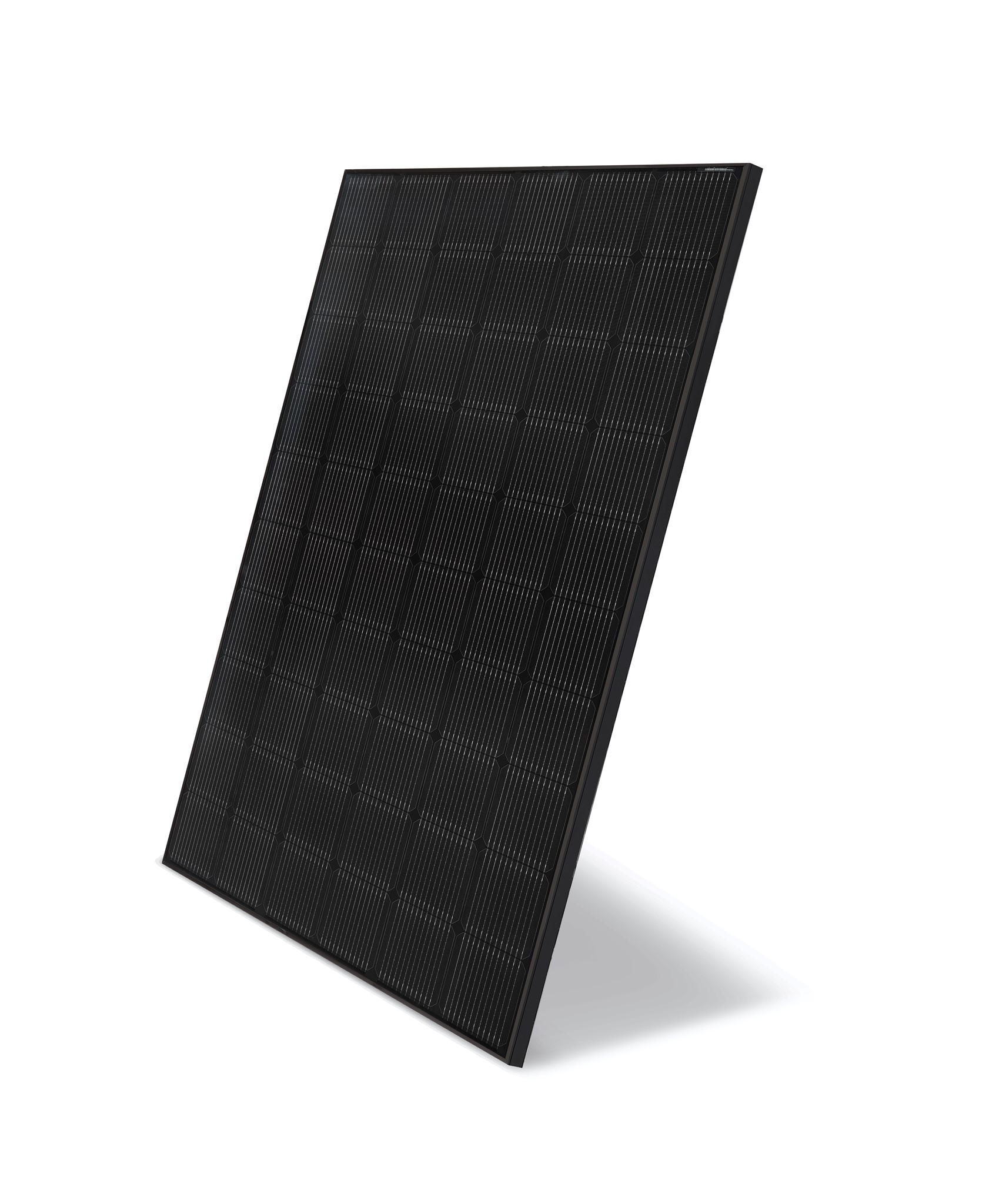 IWS SOLAR AG Solarmodul LG NeON 2 Black LG335N1KV5 (335 Wp)